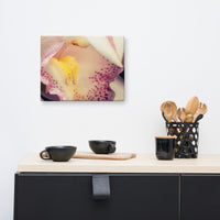 Close-up of Orchid Floral Nature Canvas Wall Art Prints