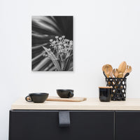 Bloodflowers and Palm Black and White Floral Nature Canvas Wall Art Prints