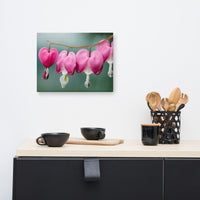Be Still My Bleeding Heart Floral Nature Canvas Wall Art Prints