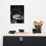 Mushroom on Log Black and White Floral Nature Canvas Wall Art Prints