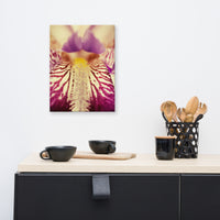 Antiqued Iris Floral Nature Canvas Wall Art Prints
