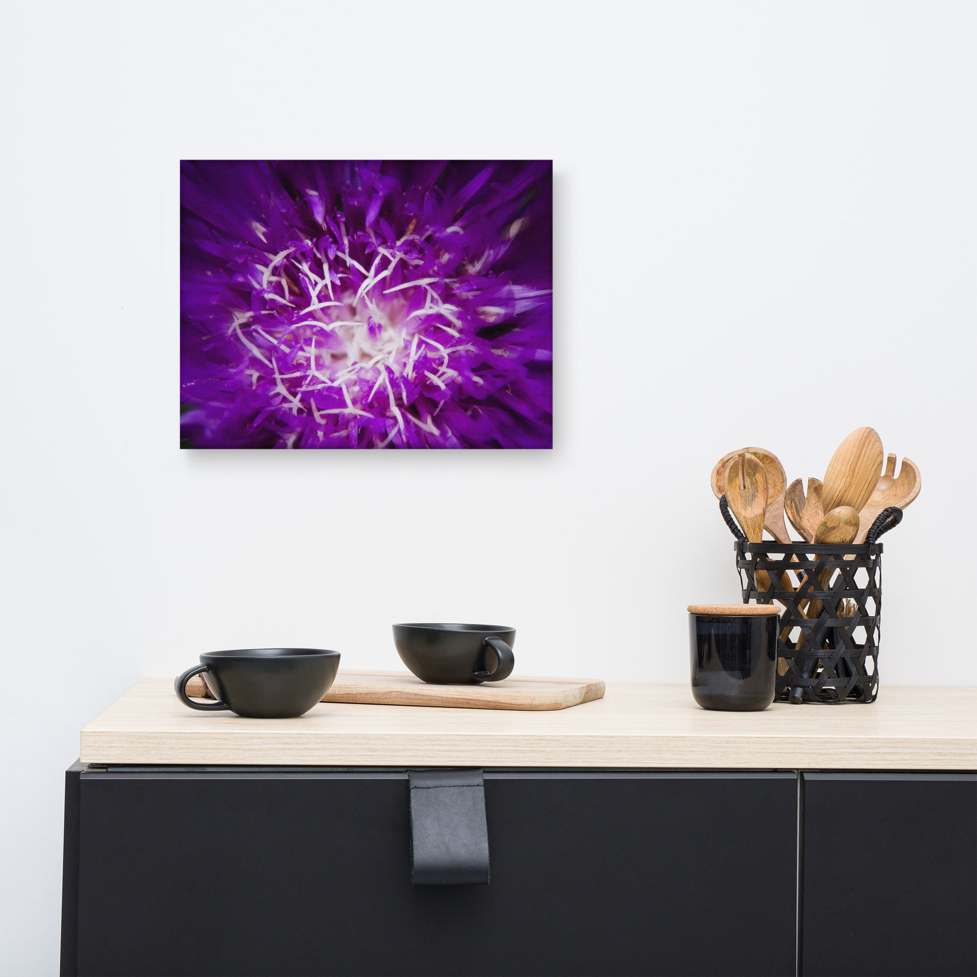 Dining Room Canvas Ideas: Dark Purple and White Aster Bloom Close-up Botanical / Floral / Flora / Flowers / Nature Photograph Canvas Wall Art Print - Artwork