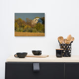 Abandoned Barn In The Trees Rural Landscape Canvas Wall Art Prints