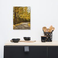 Fall Path Rural Landscape Canvas Wall Art Prints