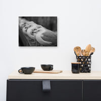 Gull King Animal / Wildlife Black and White Photograph Canvas Wall Art Prints