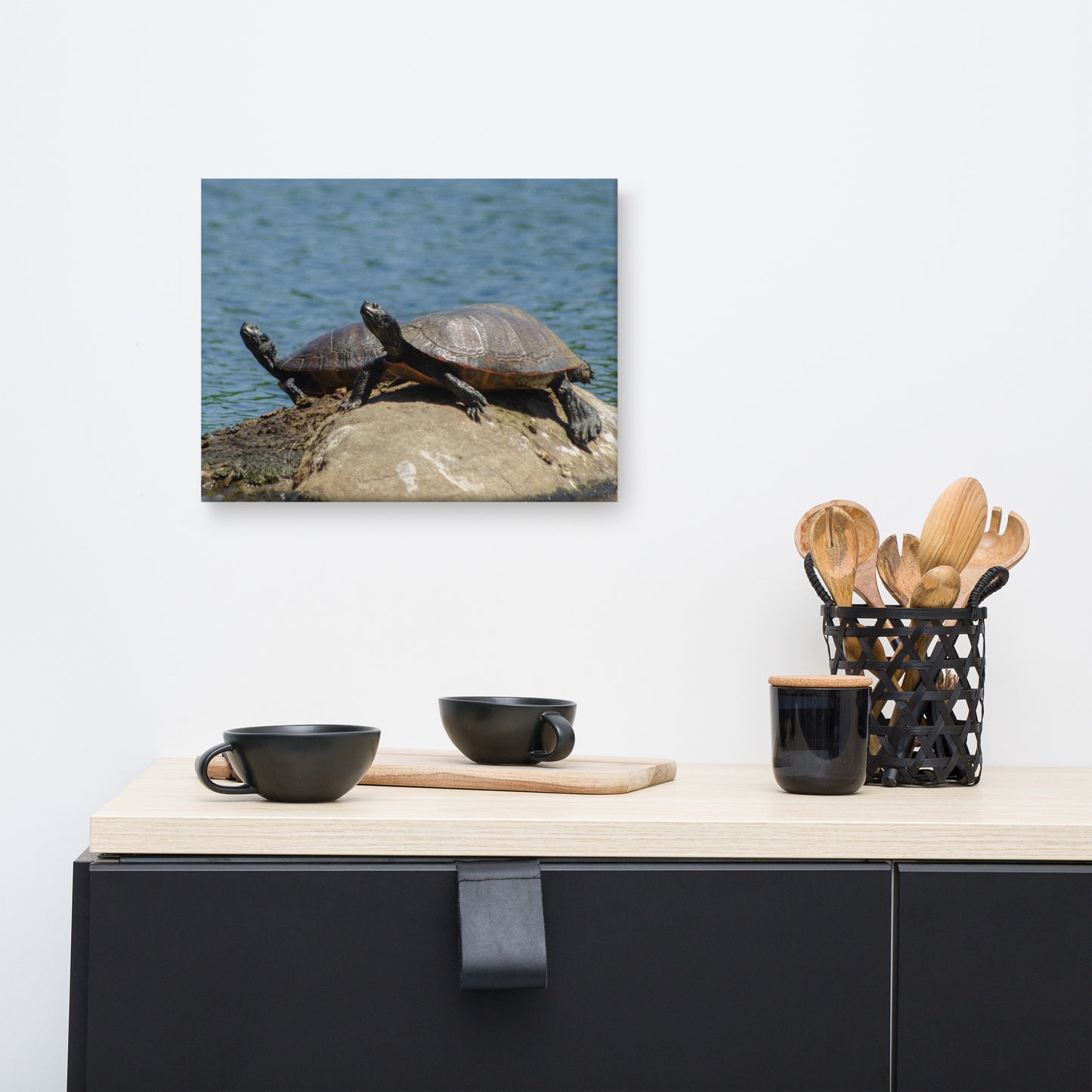 Sunshine Rock with Turtles Animal / Wildlife Photograph Canvas Wall Art Prints
