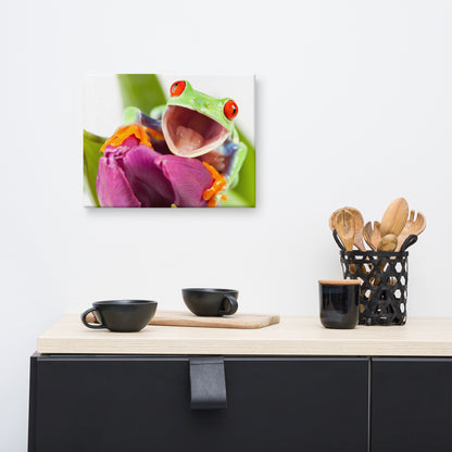 Happy Red Eyed Tree Frog Sitting on Purple Tulip Flower Bloom Wildlife Nature Photo Canvas Wall Art Print