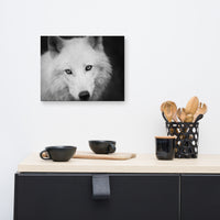 Black and White Portrait of White Wolf In The Forest Animal Wildlife Photograph Canvas Wall Art Prints