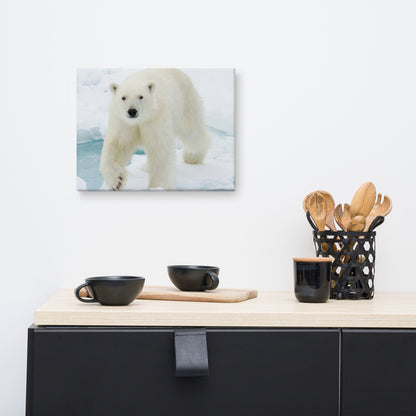 Giant White Polar Bear Walking On Icy Lake Animal Wildlife Photograph Canvas Wall Art Prints