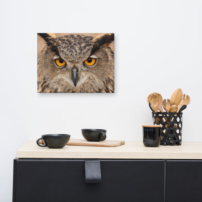 Close-up Yellow Eurasian Eagle Owl Wildlife Animal Canvas Wall Art Print