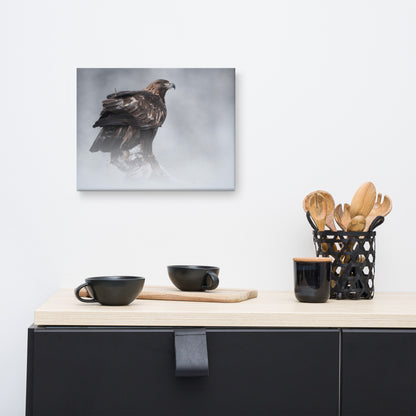 The Victor - Golden Eagle with Prey In The Mist Animal Wildlife Photograph Canvas Wall Art Prints