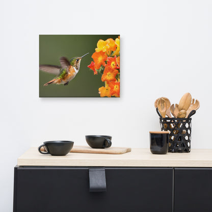 Hummingbird with Little Yellow-Orange Flowers Animal Wildlife Floral Photograph Canvas Wall Art Prints