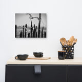 Flying Sea Gull in Black and White Animal / Wildlife Photograph Canvas Wall Art Prints