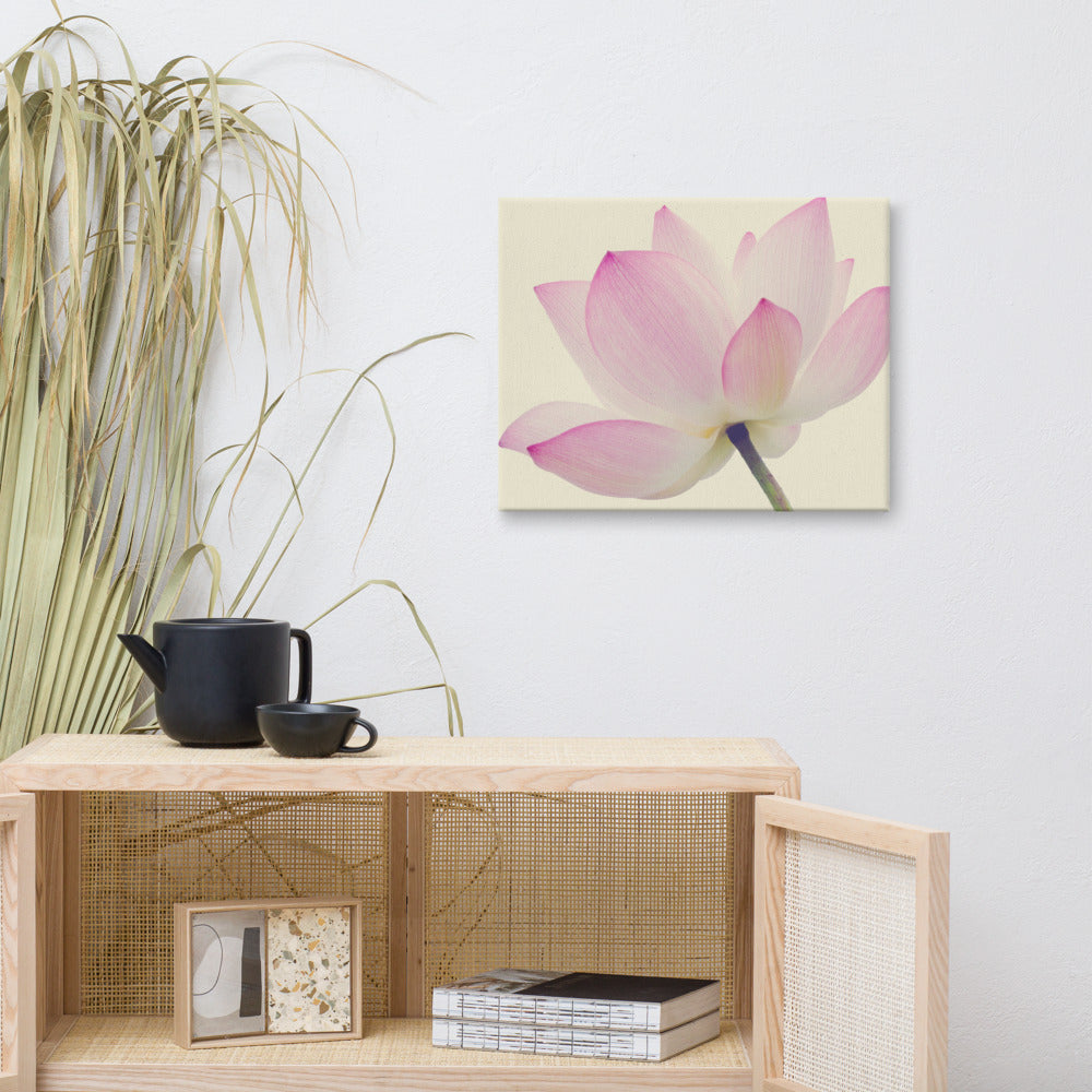 Lotus Flower Creamy Haze Effect Floral Nature Photo Canvas Wall Decorating Art Print 16??20 - PIPAFINEART