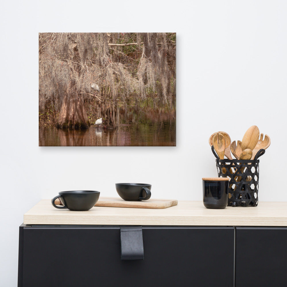 Landscape Wall Canvas: Ibis In The Cypress Trees Backwoods Coastal Landscape Photo Canvas Wall Art Prints