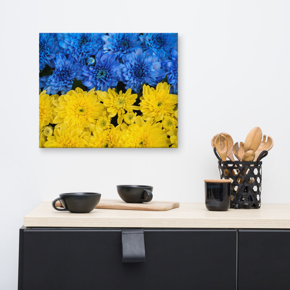 Blue Floral Canvas Wall Art: Blue and Yellow Chrysanthemums Nature Photo For Ukraine Refugees Nature Photo Canvas Wall Art Print