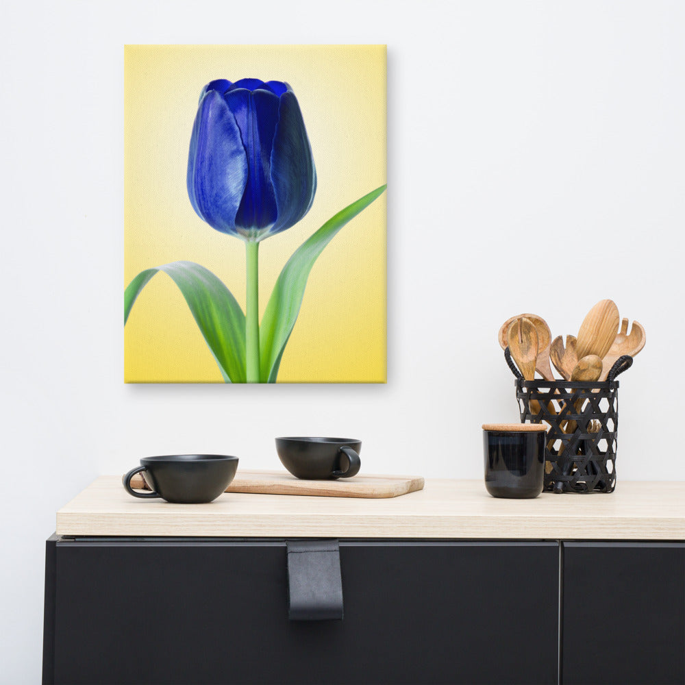 Botanical Canvas Wall Art: Blue Tulip Minimal Floral Nature Photo - For Ukraine Refugees Canvas Wall Art Print