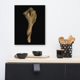 States of Erosion Image 3 Whelk Shell Coastal Nature Canvas Wall Art Prints