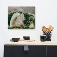 Seaweed and Shells Coastal Nature Canvas Wall Art Prints
