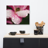 Raindrops on Wild Rose Floral Nature Canvas Wall Art Prints