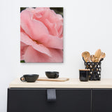 Pink Passion Rose Canvas Wall Art Prints