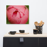 Peony Bud Floral Nature Canvas Wall Art Prints