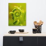 Nature's Perfection Botanical Nature Canvas Wall Art Prints