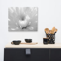 Infrared Flower 2 Black and White Floral Nature Canvas Wall Art Prints
