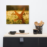 Fall Leaf in Morning Sun Botanical Nature Canvas Wall Art Prints