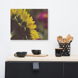 Dramatic Backside of Sunflower Floral Nature Canvas Wall Art Prints