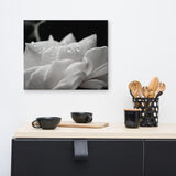 Delicate Rose Black and White Floral Nature Canvas Wall Art Prints