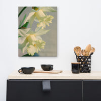 Colorized Daffodils Floral Nature Canvas Wall Art Prints