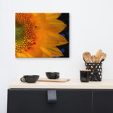 Close-up Sunflower Floral Nature Canvas Wall Art Prints