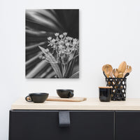 Bloodflowers and Palm Black and White Floral Nature Canvas Wall Art Prints