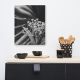 Bloodflowers and Palm Black and White Floral Nature Canvas Wall Art Prints