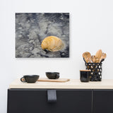 Black Sands and Seashell on the Shore Coastal Nature Canvas Wall Art Prints