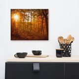 Autumn Sunset Rural Landscape Canvas Wall Art Prints