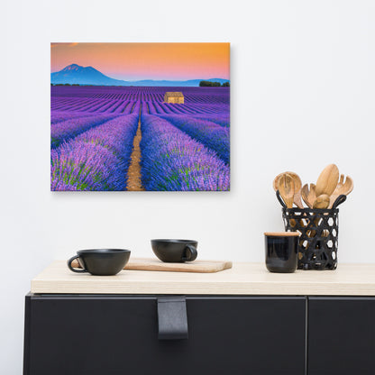 Blooming Lavender Field and Sunset Floral Landscape Photograph Canvas Wall Art Prints