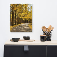Fall Path Rural Landscape Canvas Wall Art Prints