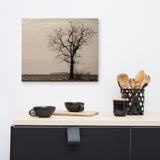 Lonely Tree Abstract Black and White Rural Landscape Canvas Wall Art Prints