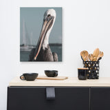 Bob The Pelican Bird 3 Colorized Wildlife Photo Canvas Wall Art Prints