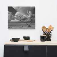 Wanderlust High Contrast Black and White Landscape Photo Canvas Wall Art Print