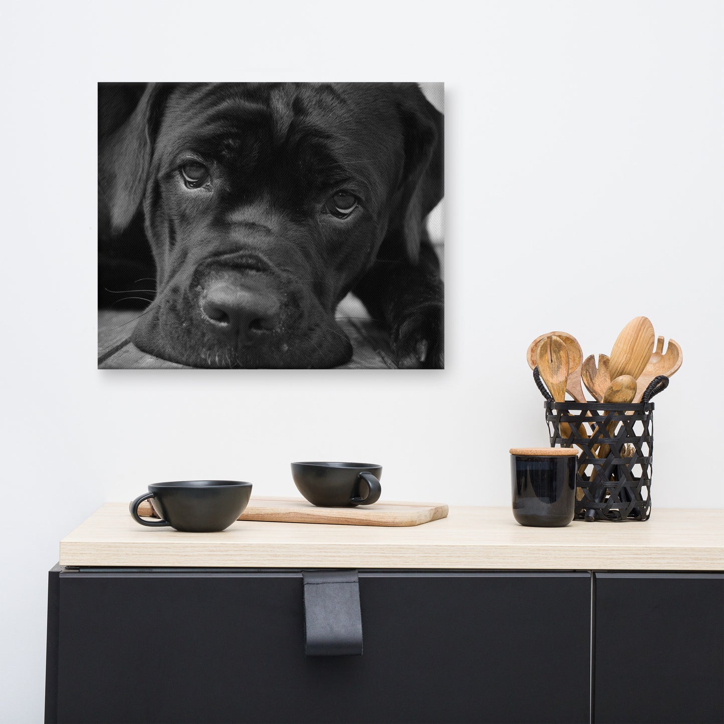 Cane Corso on Porch Animal / Dog Black & White Canvas Wall Art Prints