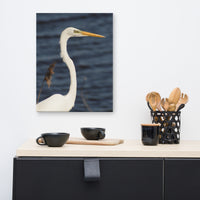 Great White Egret Animal / Wildlife Photograph Canvas Wall Art Prints