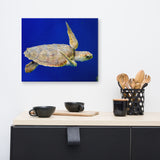 Sea Turtle 1 Animal / Wildlife Photograph Canvas Wall Art Prints
