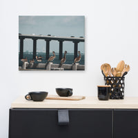 Skyway Bridge & Bob's Pelican Friends Wildlife Photo Canvas Wall Art Prints