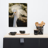 Snowy Egret Animal / Wildlife Photograph Canvas Wall Art Prints