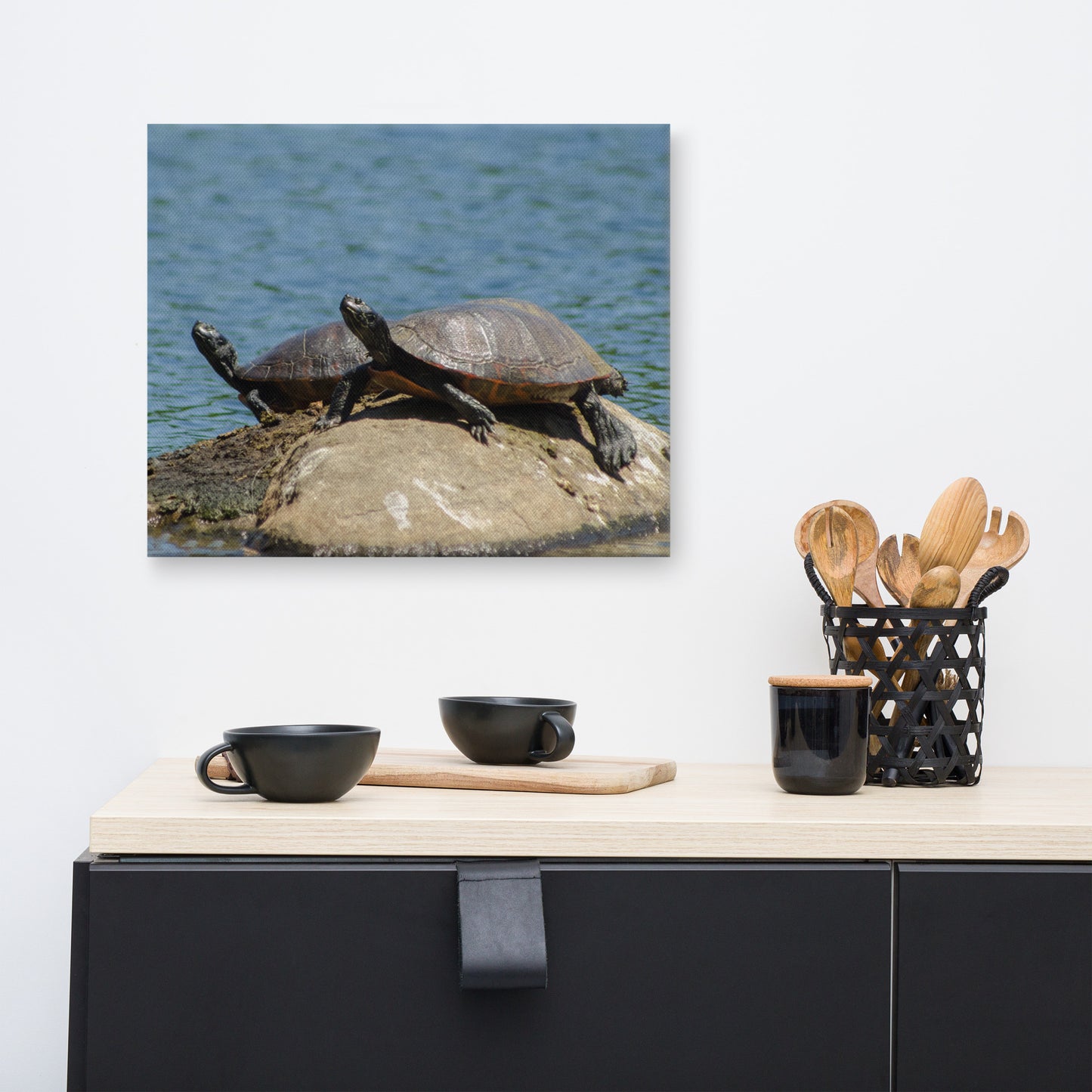 Sunshine Rock with Turtles Animal / Wildlife Photograph Canvas Wall Art Prints