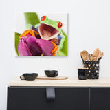 Happy Red Eyed Tree Frog Sitting on Purple Tulip Flower Bloom Wildlife Nature Photo Canvas Wall Art Print