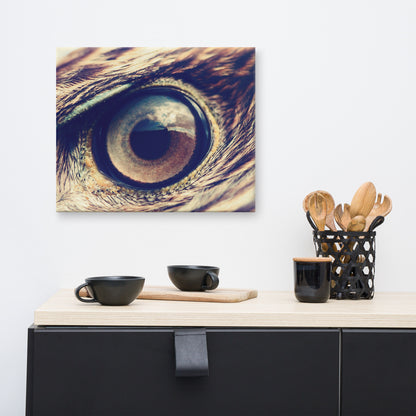 Close-up Eagle Eye Color Tone Animal Wildlife Photograph Canvas Wall Art Prints